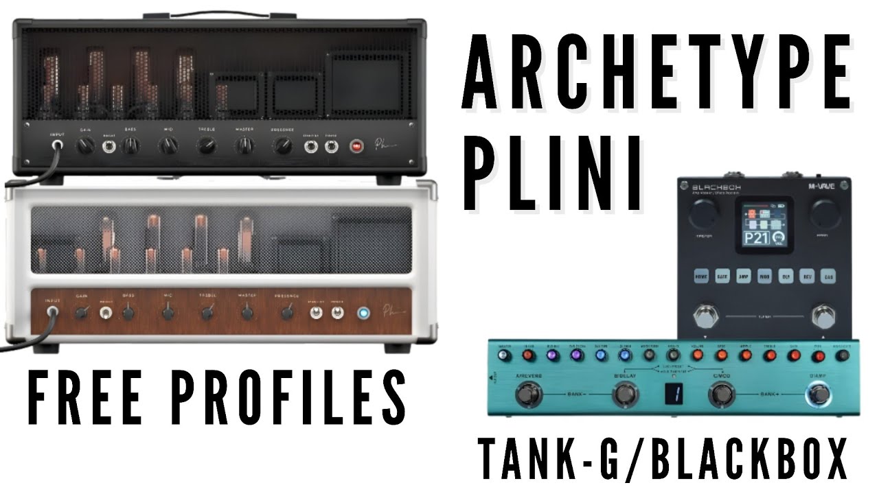 FREE ANN PROFILES FOR MVAVE TANK-G/BLACKBOX : ARCHETYPE PLINI CAPTURES