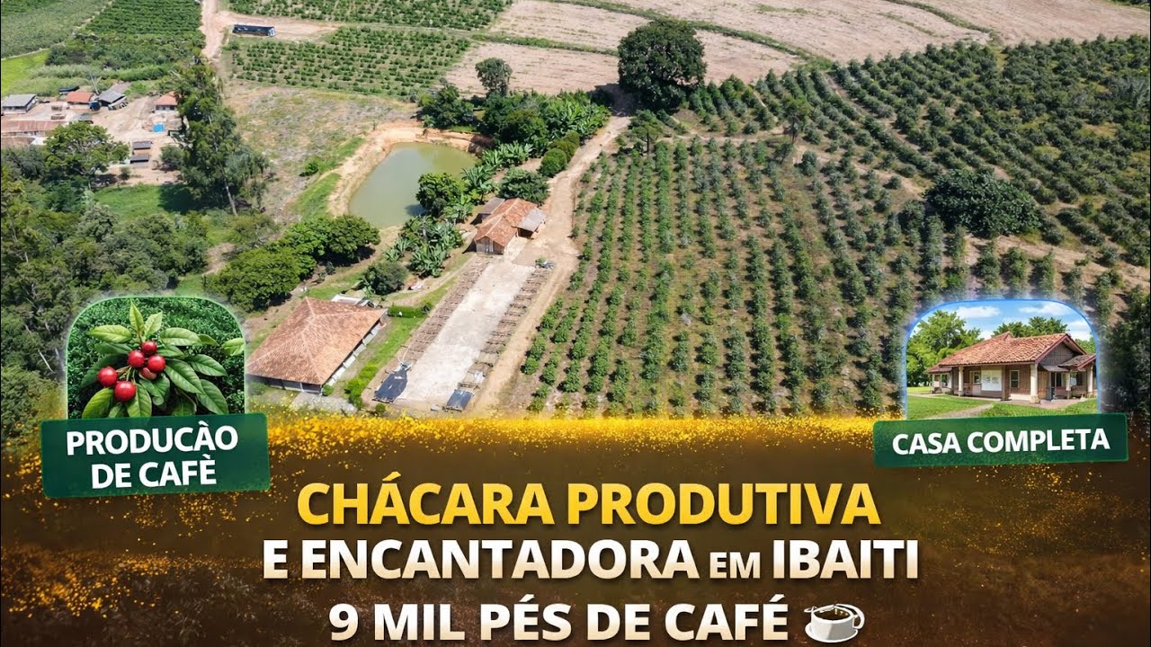 Chácara dos Sonhos em Ibaiti | 9 Mil Pés de Café + Pomar completo e Casa Encantadora