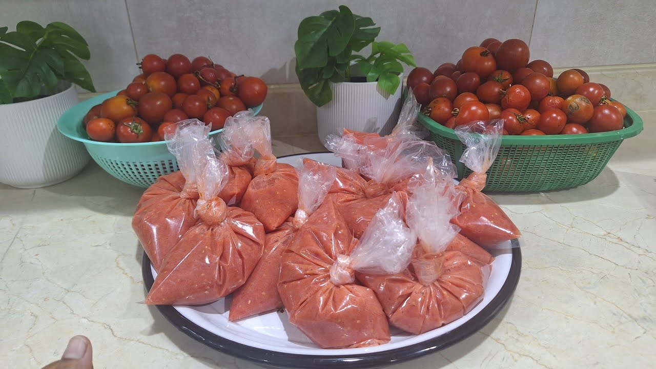 Tomato🍅 thakkali තක්කාලි ගොඩායි මෙවාට මොකද කරන්නේ මේ  🥰