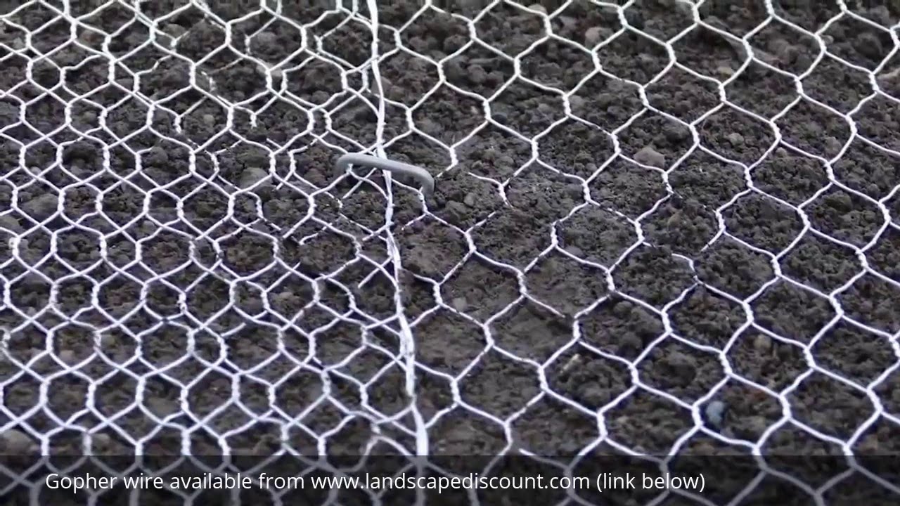 How to Install Gopher Wire Mesh