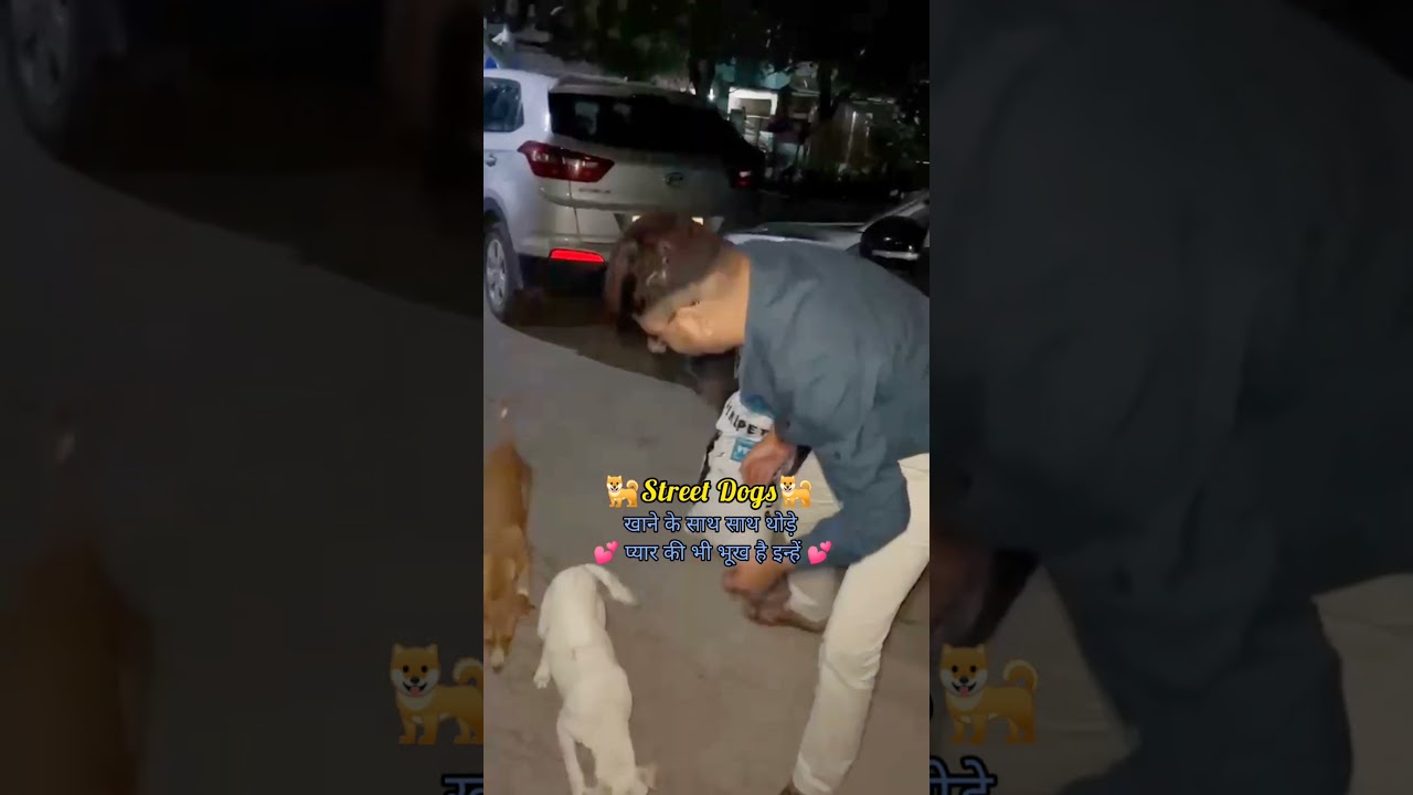 😘💕Love Street Dogs💕😘 #dog #dogs #streetdog #love #motivation #shorts #animals #viral #viralvideo