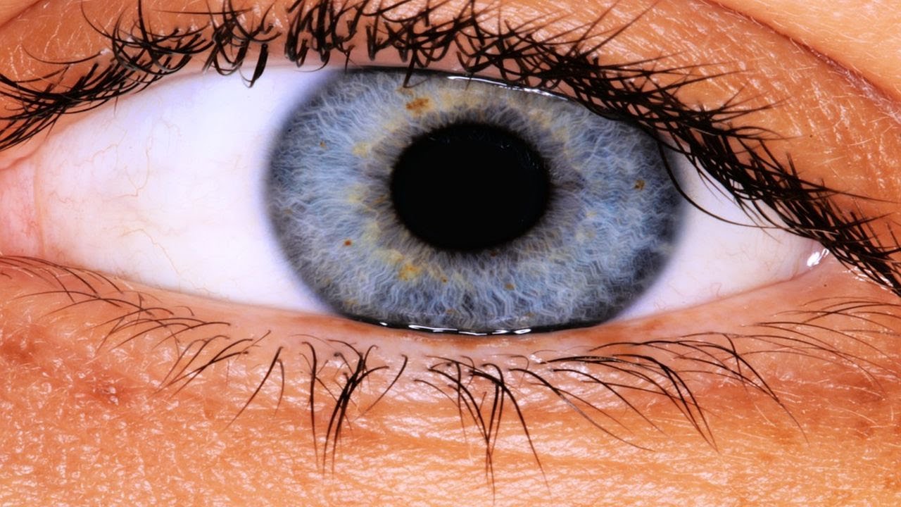 Q&A 2. Dlaczego mam rozszerzone źrenice i o czym świadczą włosy wyrastające z odbytu?