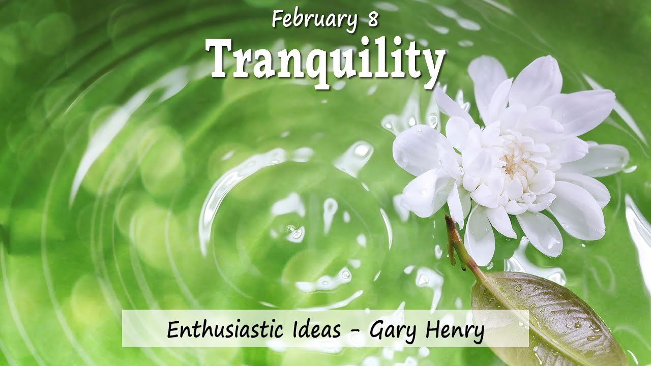 Tranquility (February 8 - Year 1)