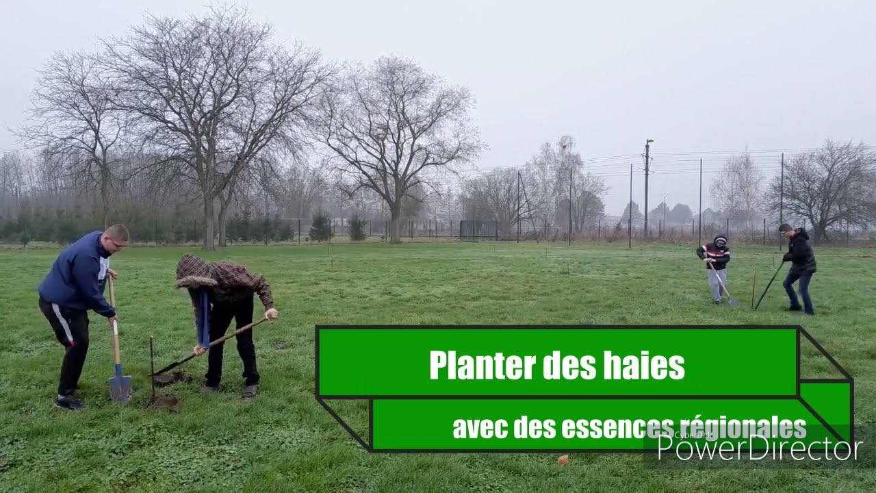 PROJET 4 - J'agis pour ma planète - IME Jean Stievenard de Denain