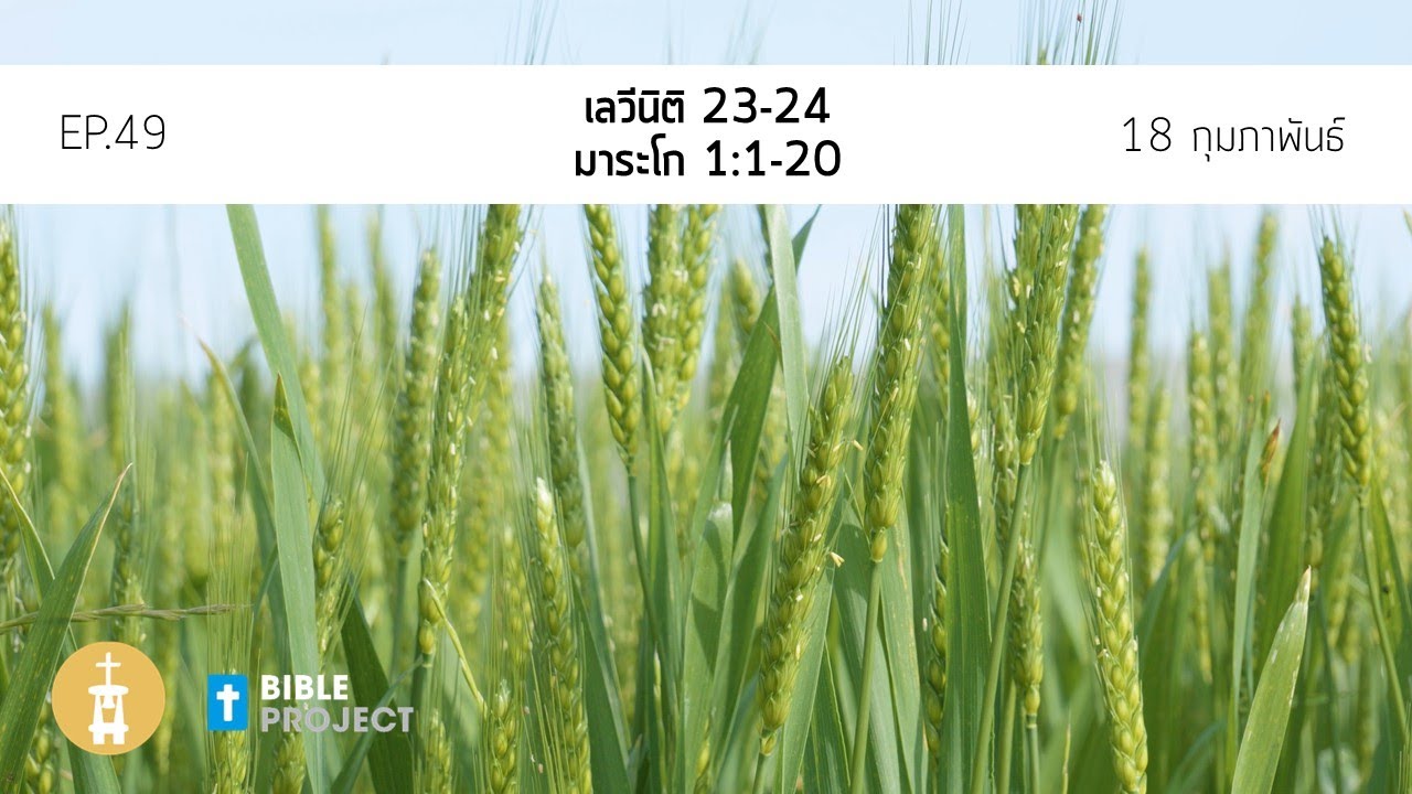 Bible Project 365 วันที่ 18 กุมภาพันธ์ EP.49