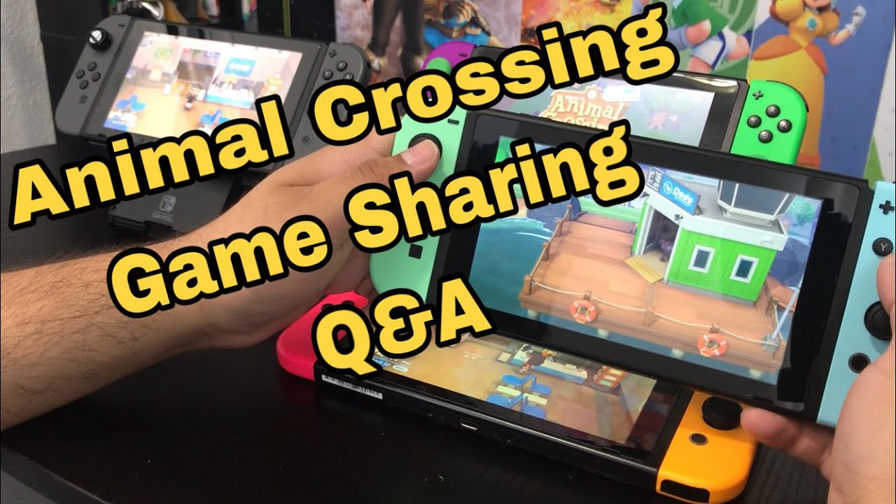 Совместная игра Animal Crossing