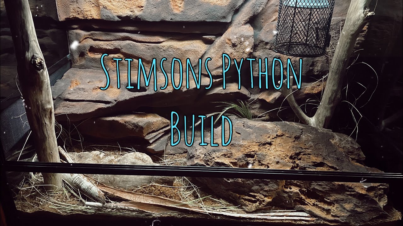 Stimsons Python Enclosure Build