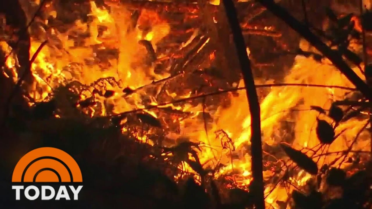 Nearly 4 Million Acres Of California Burned In Record Wildfire Season | TODAY