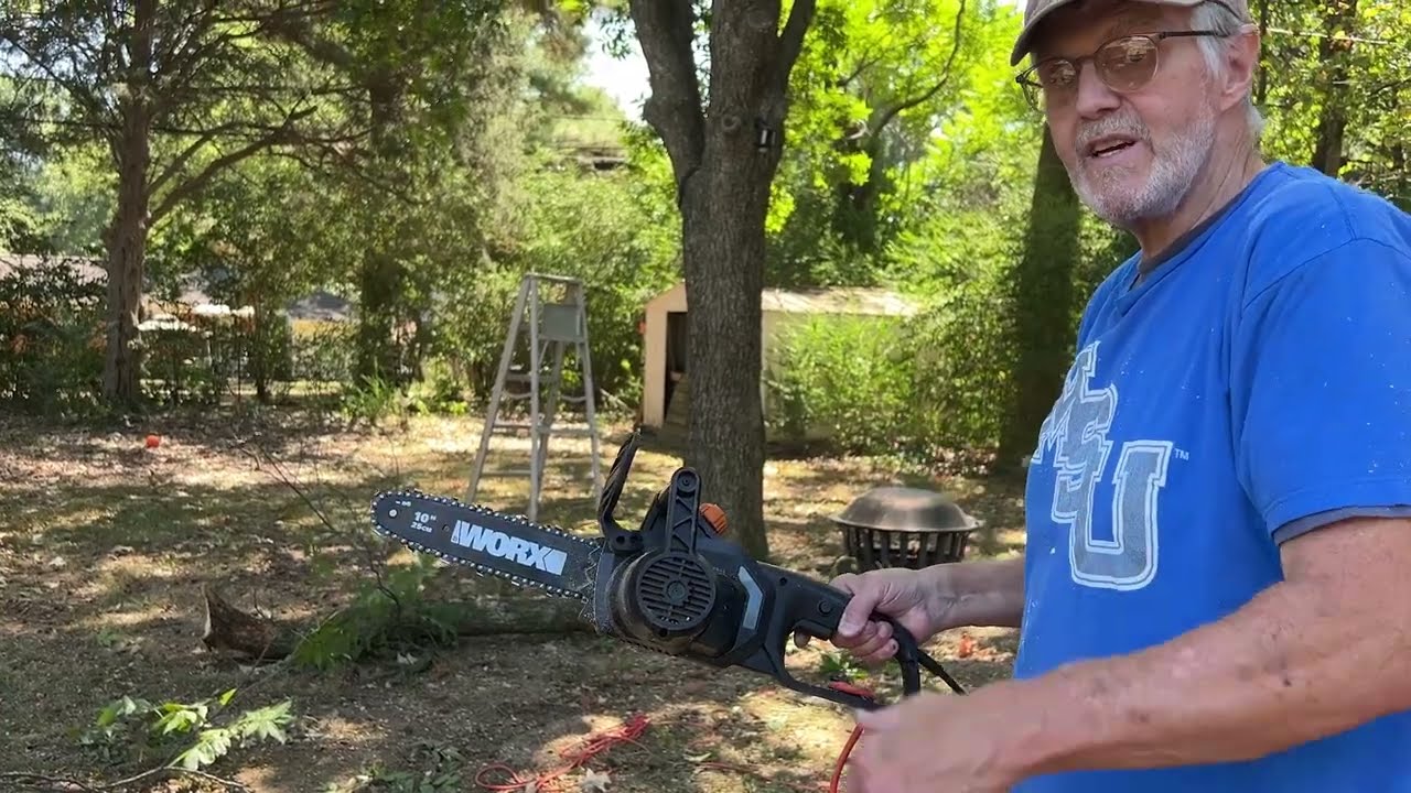 Worx Pole Saw Tree Trimming