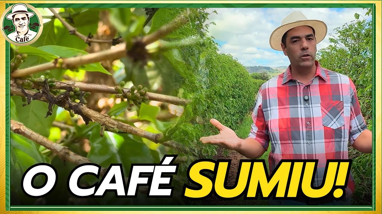 FRUSTRAÇÃO! O Pegamento da Florada para 2025.