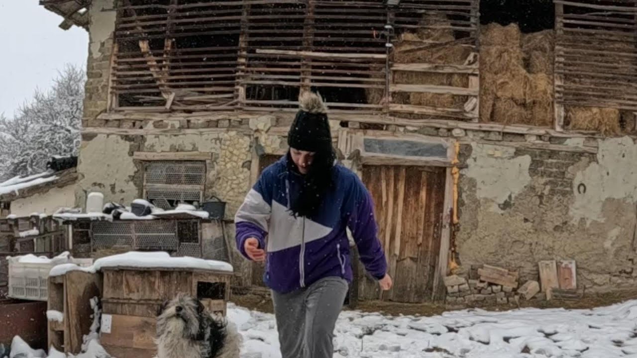 Защо се преместихме да живеем на село,зимна приказка и селски радости.