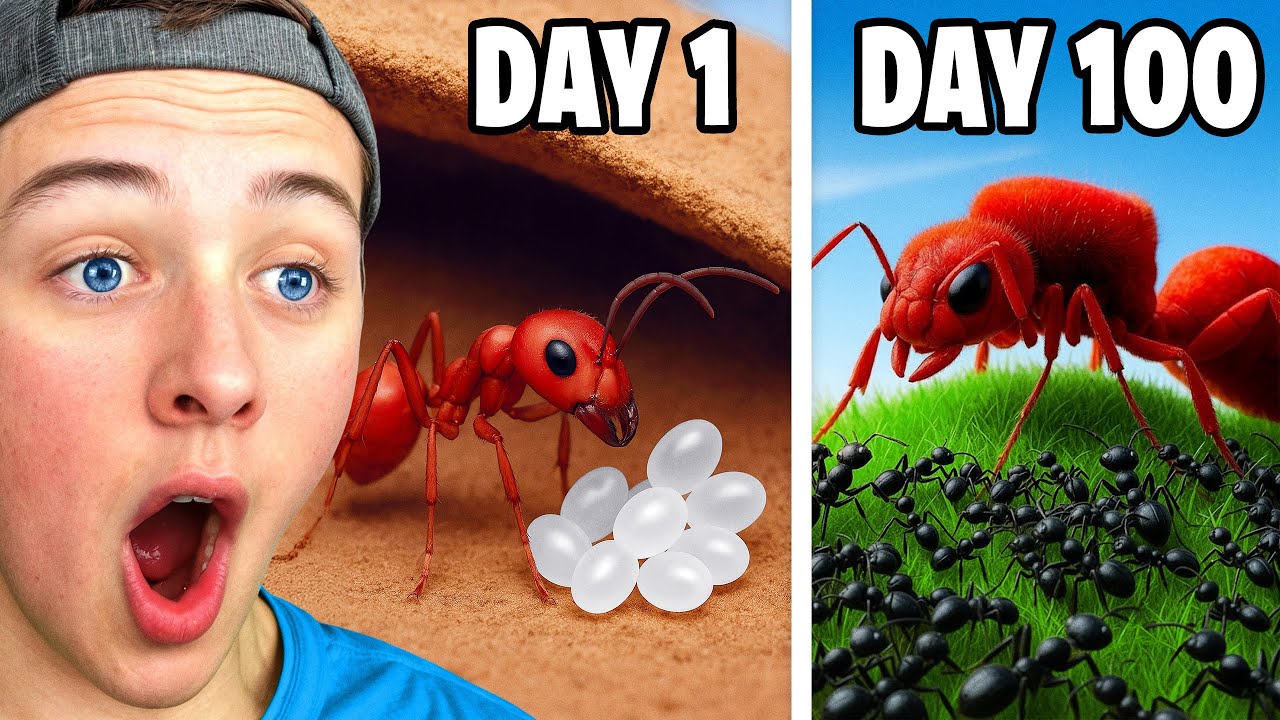BECKBROS React To ANT COLONY SIMULATION!