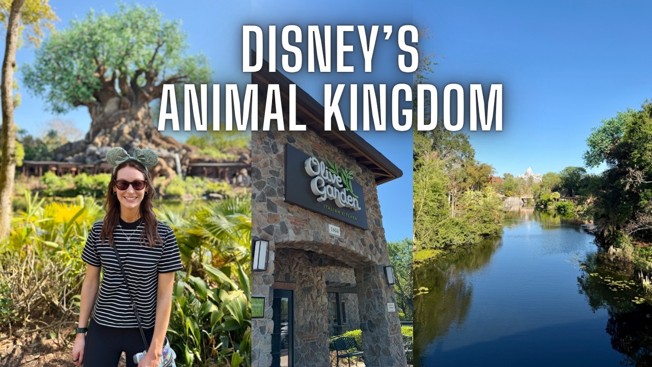 День в Animal Kingdom! Плюс Disney Springs, ужин за пределами парка в Olive Garden, Port Orleans ...