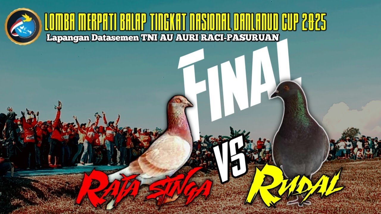 Lomba Utama SELEKNAS Pasuruan 2025 || Full video sampai FINAL #merpatibalap #seleknas #merpati