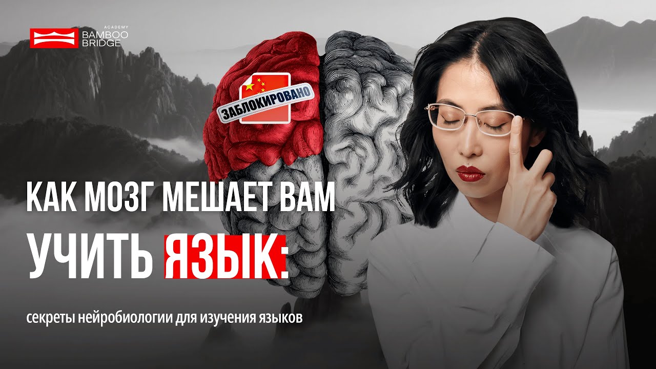ПОЧЕМУ ВАШ МЗГ НЕ ДАЕТ УЧИТЬ ЯЗЫК? Секреты нейробиологии для изучения языков