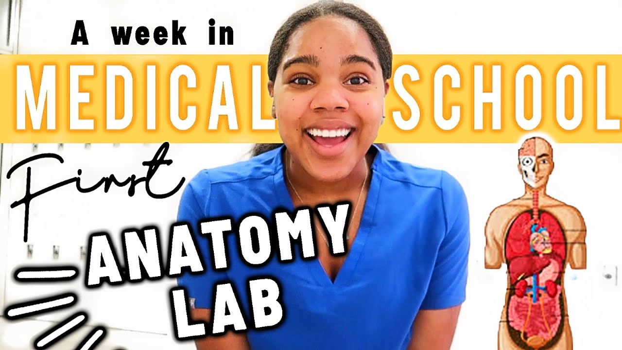 A Week in Medical School Vlog l First Anatomy Lab!!!