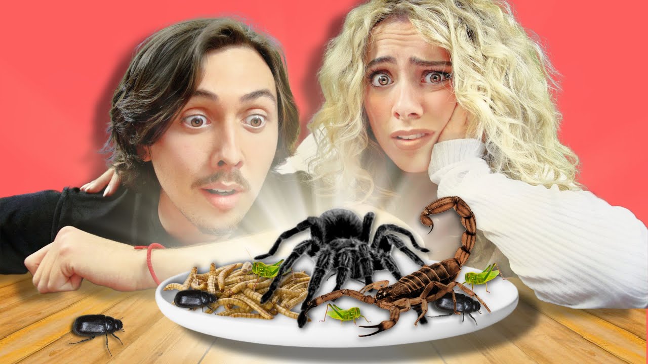TU MANGES OU TU BOIS édition INSECTES // Avec Gurky