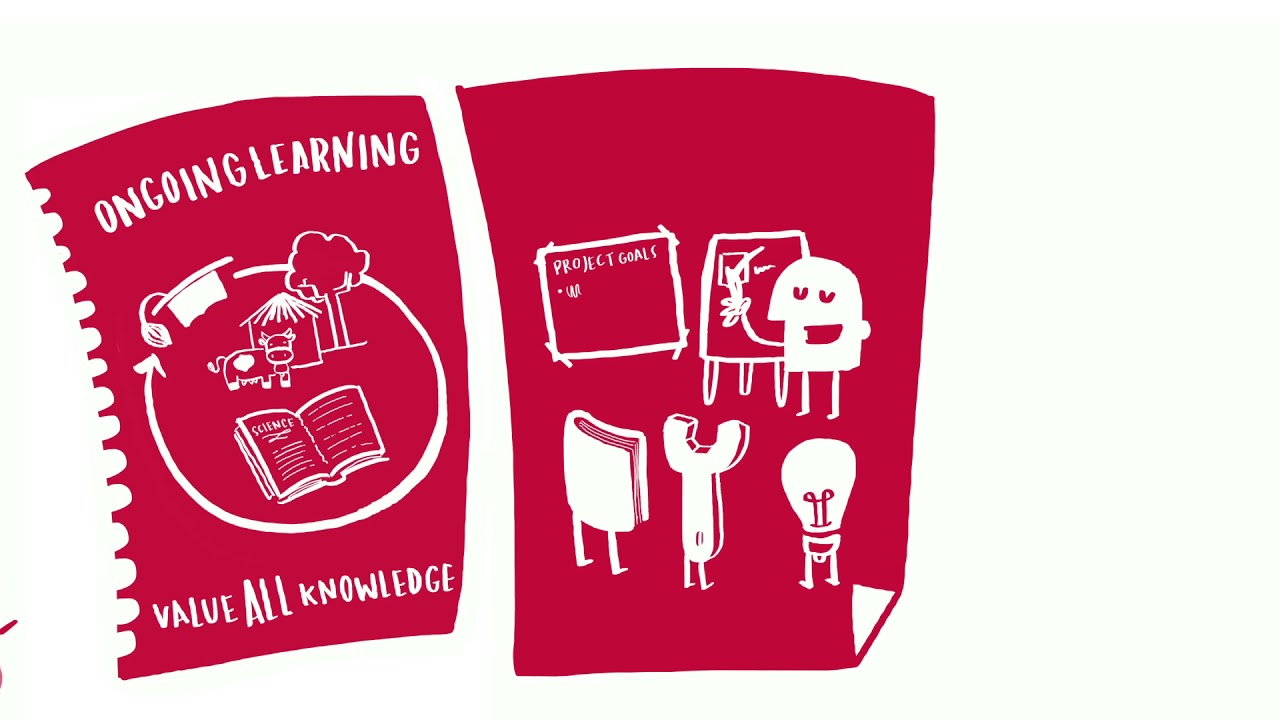 Principles for co-production
