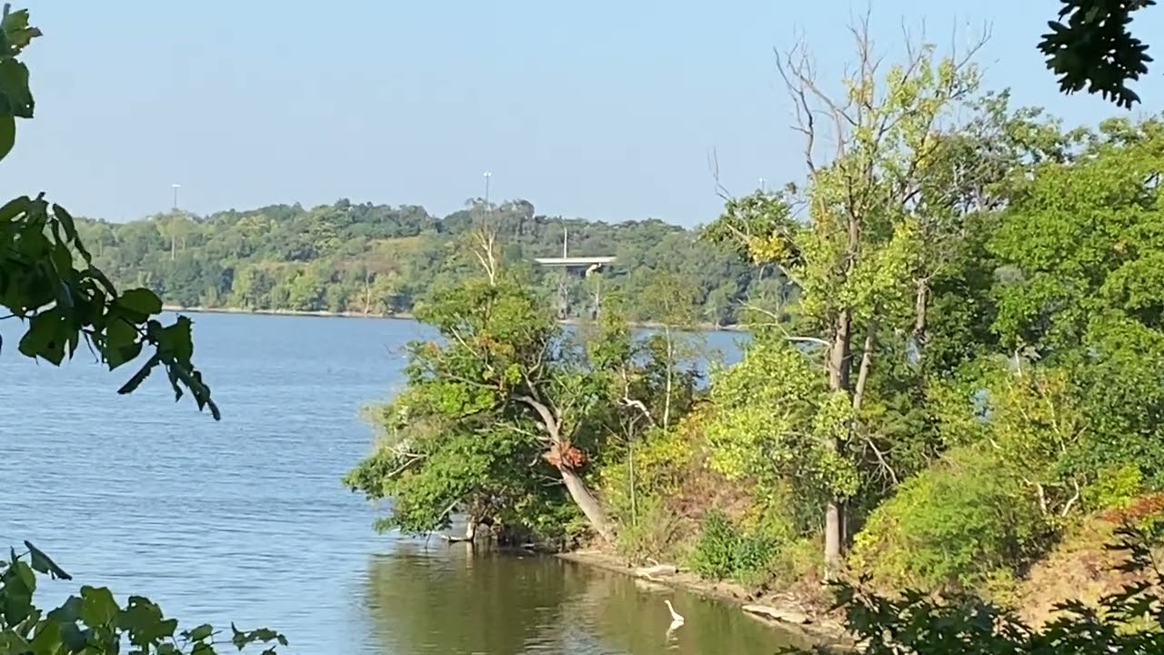 September 2024: Sassafras Point Trail in Hamilton, Ontario, Canada