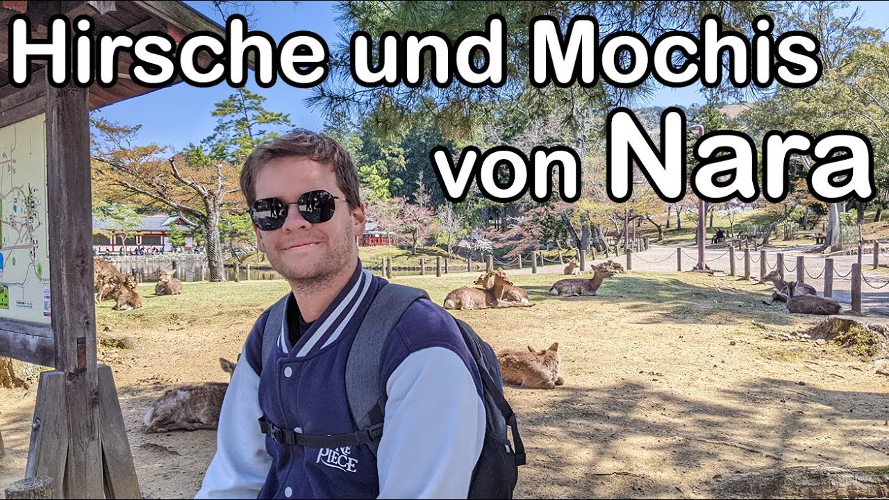 Die höflichen Hirsche von Nara (sie verbeugen sich 😅) + traditionelle Mochis  - Weltreise Vlog 083