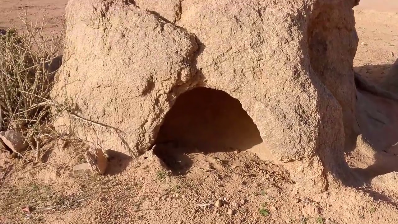 سعودی عربیہ میں پاکستانی ڈرائیور بھائیوں کے لئے 