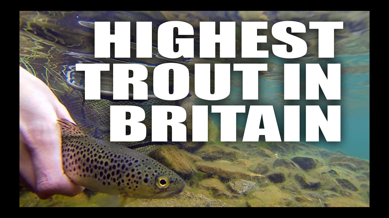 Is This The Highest Trout In Britain - Fly Fishing - Andy Buckley
