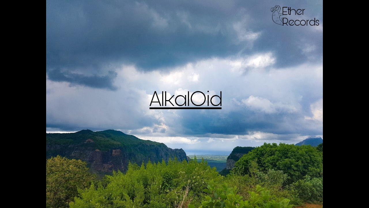 AlkalOid - Squelchy Whale