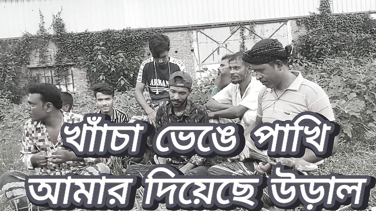 খাঁচা ভেঙ্গে পাখি আমার দিয়েছে উড়াল || মশিউর || বিচ্ছেদ গান ২০২৪