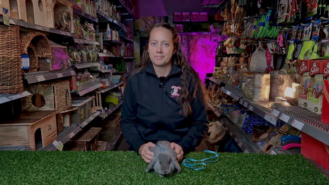 Baby Bunny sele med koppel - Teddytassen presenterar