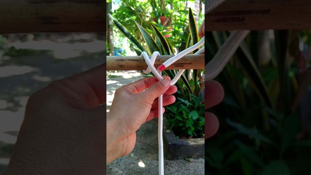 Swing Knot | A common Tying Swing Knot. #shorts #swing