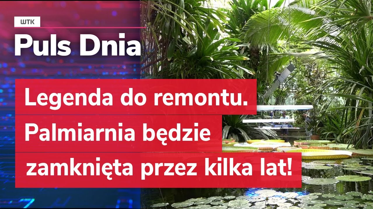 Legenda do Remontu: Poznańska Palmiarnia Zamknięta na Lata!