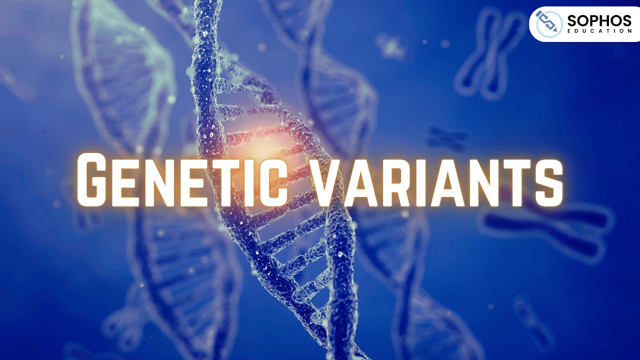 Edexcel Only: Genetic Variants