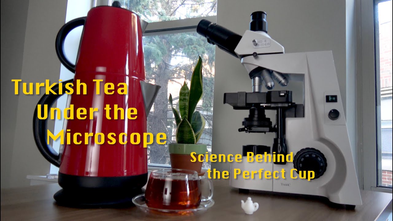 Turkish Tea Under the Microscope (Science Behind the Perfect Cup) | #AmateurMicroscopy #Microscopy