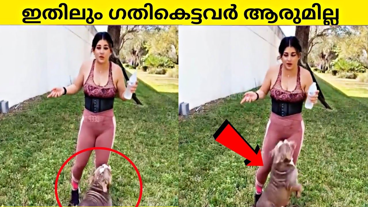 ഈ പട്ടിയുടെ ഒരു കാര്യം | ഗതികെട്ടവരുടെ അവസ്ഥ | unlucky people |90sKID|SIXTH SENSE MALAYALAM