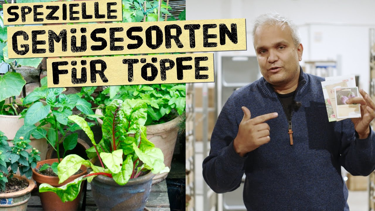 Geeignete Sorten für Gemüse in Töpfen oder kann man jede Sorte in Kübeln, Töpfen, Hochbeeten anbauen