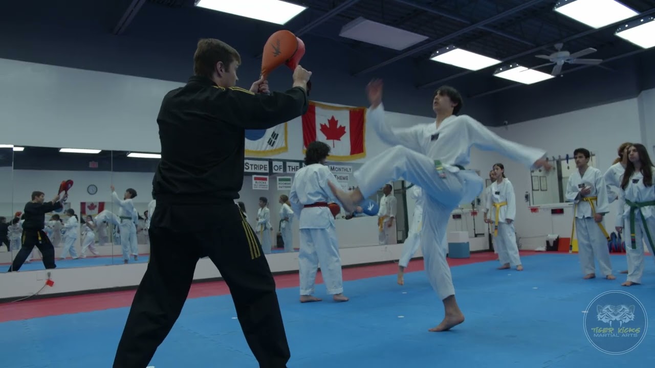 Adult and Teens TaeKwonDo Richmond Hill Tiger Kicks Martial Arts
