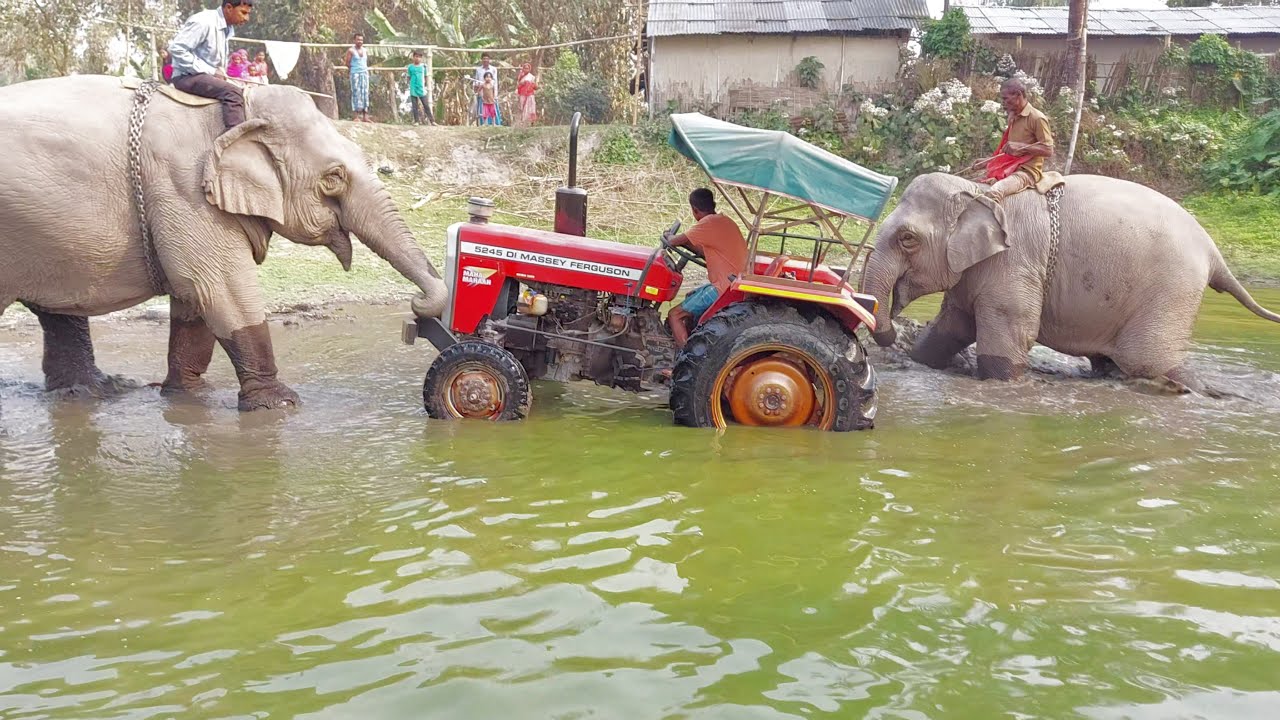 Amazingly Video !!! Elephant Vs Tractor/Tractor Stuck In Mud/After Rescue By Two Elephant/Elephant