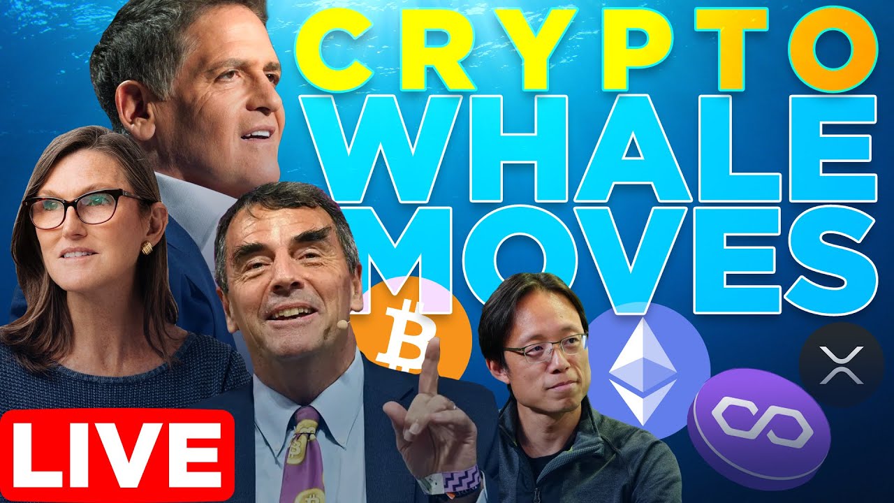 Crypto Whale Moves Update | What Are They Investing In?