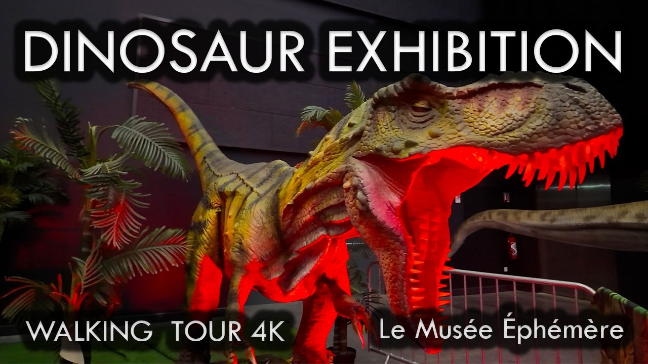 DINOSAUR EXHIBITION WALK 4K | 🦖 Le Musée Éphémère