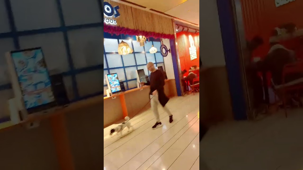 Galleria centro commerciale porta di Roma Uci cinemas ascensore passeggiata che bella vuoto riprese 