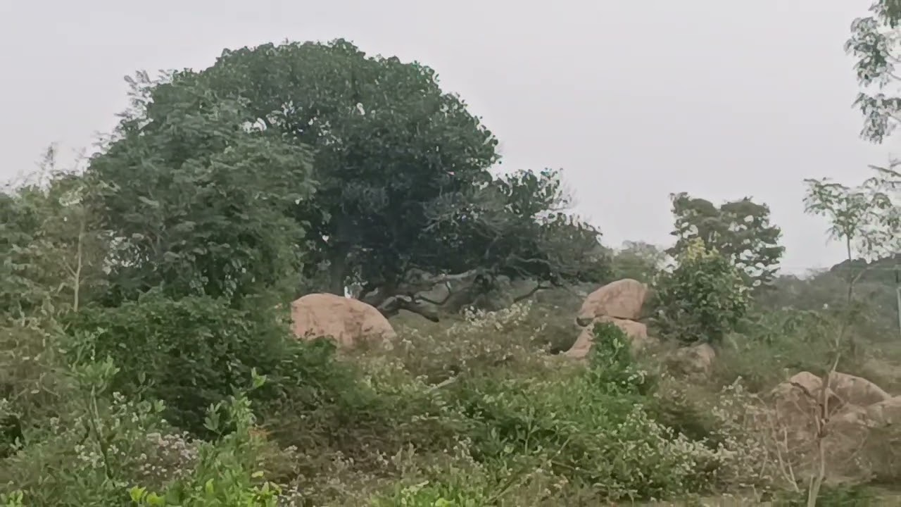 9 & half acre tn registration 25lakh per acre 9036106979
