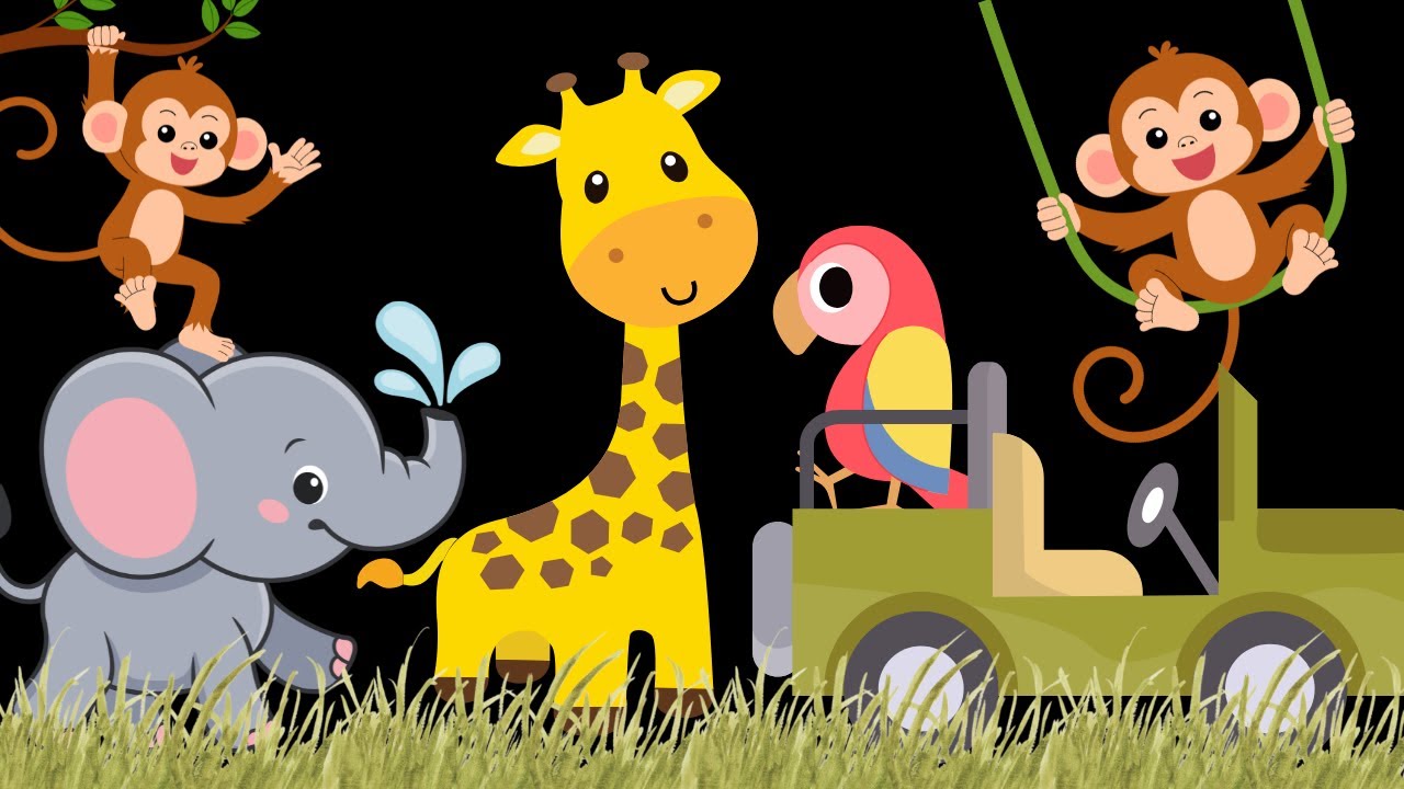Little Safari Adventure Baby Sensory with High Contrast and Visual Stimulation