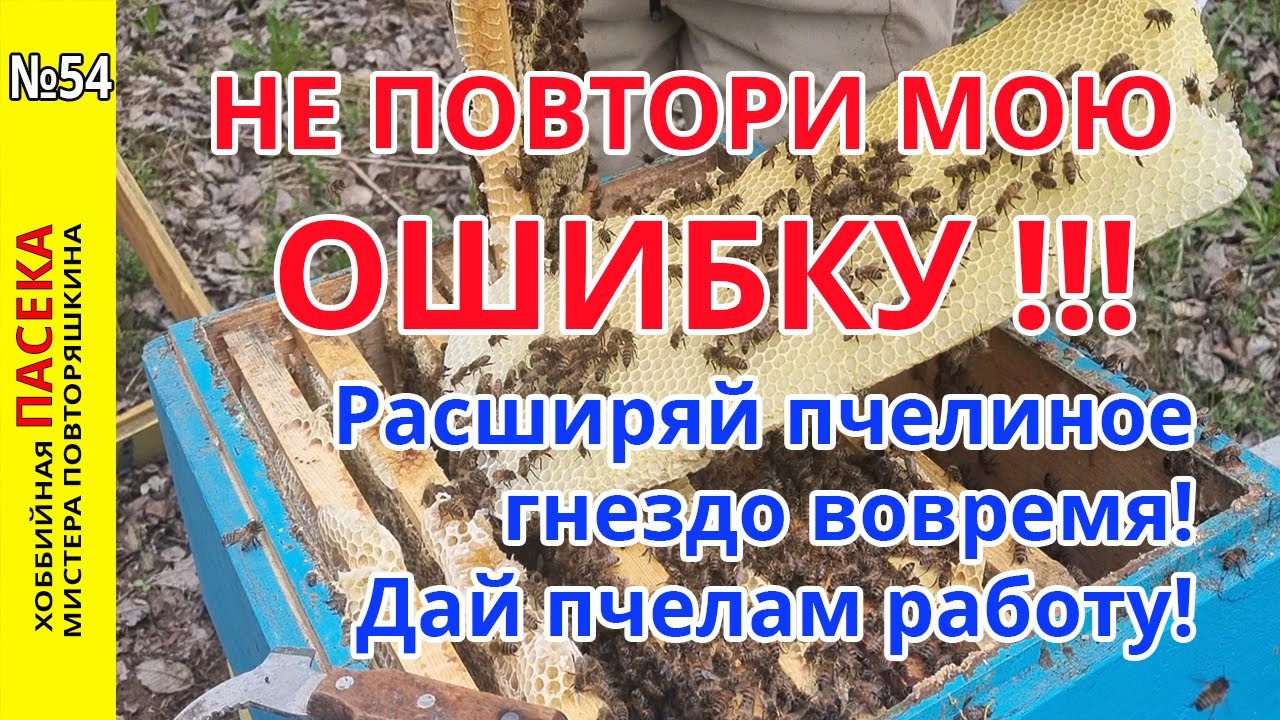 Пчелиные гнезда: Главная ошибка весной! Не делай как я! Расширяй пчелиные гнезда вовремя.