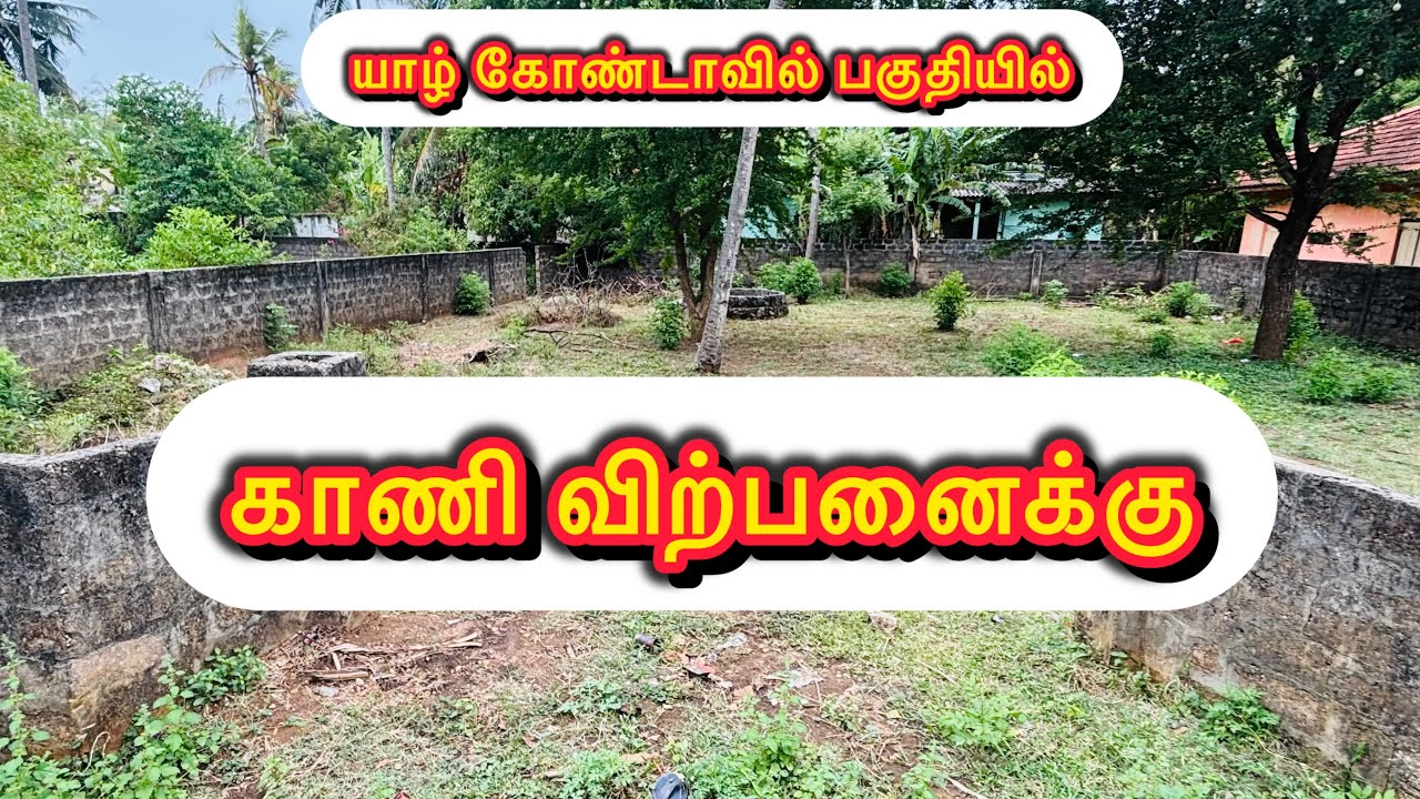காணி விற்பனைக்கு | #Land for #Sales | #Jaffnasaleshub