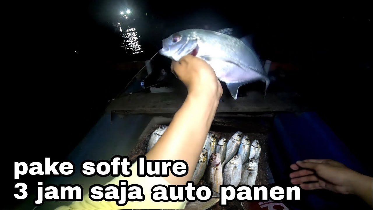 MANCING MALAM PAKE SOFT LURE || dapat gt mata belo dan oci