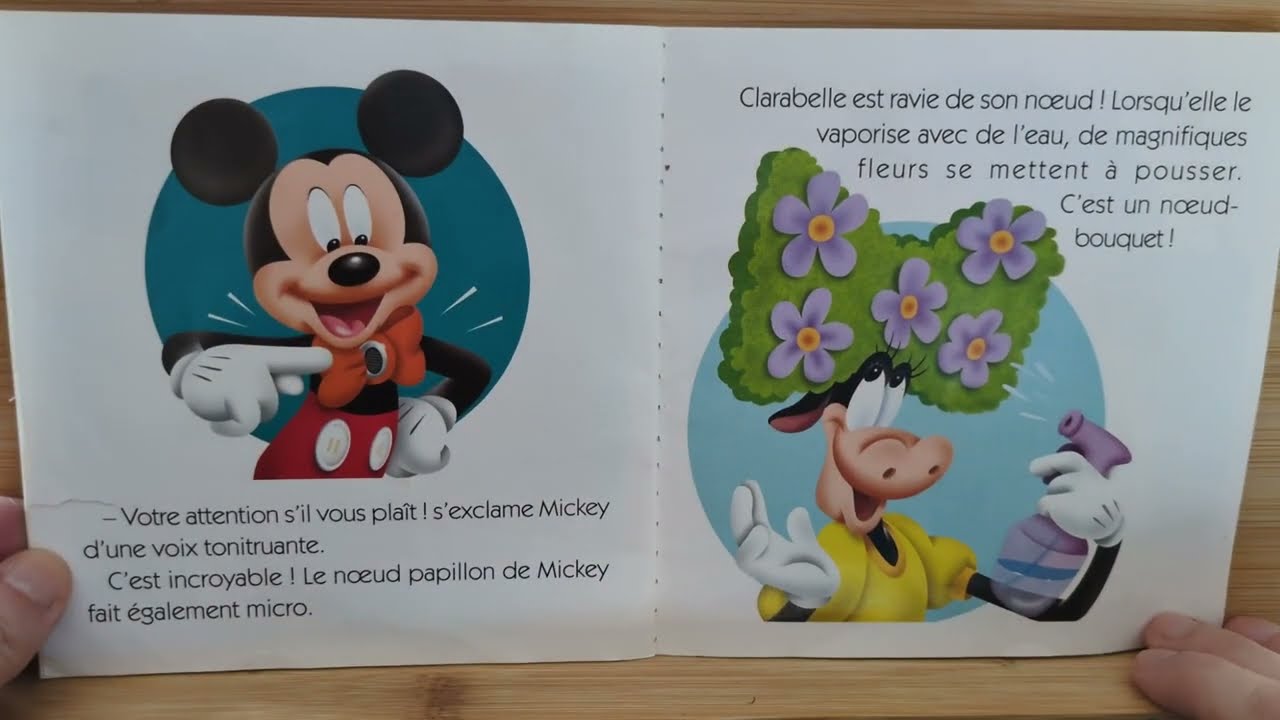 La boutique de Minnie