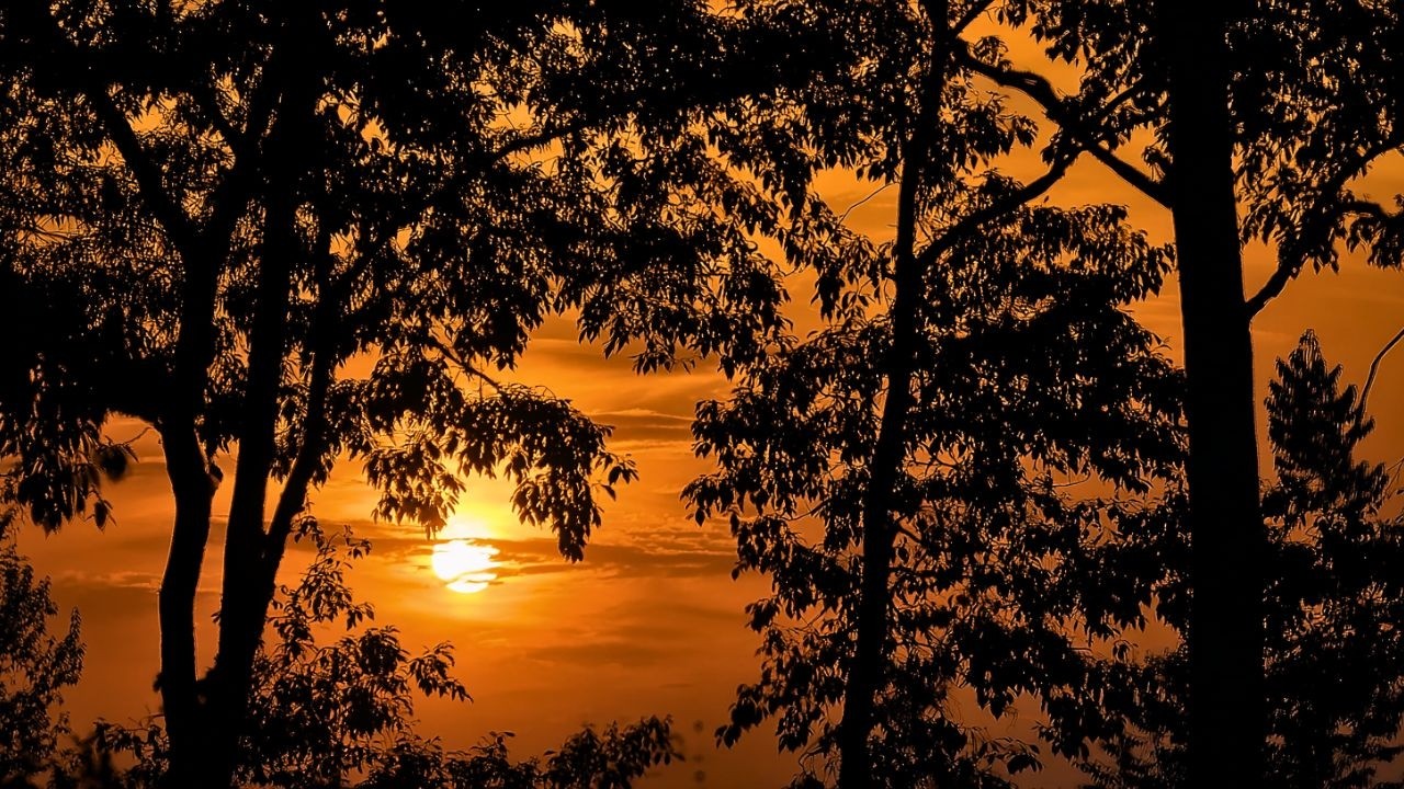 Spiritual Worship Instrumentals | Devotional Music for Deep Prayer, Peace, and Tranquility