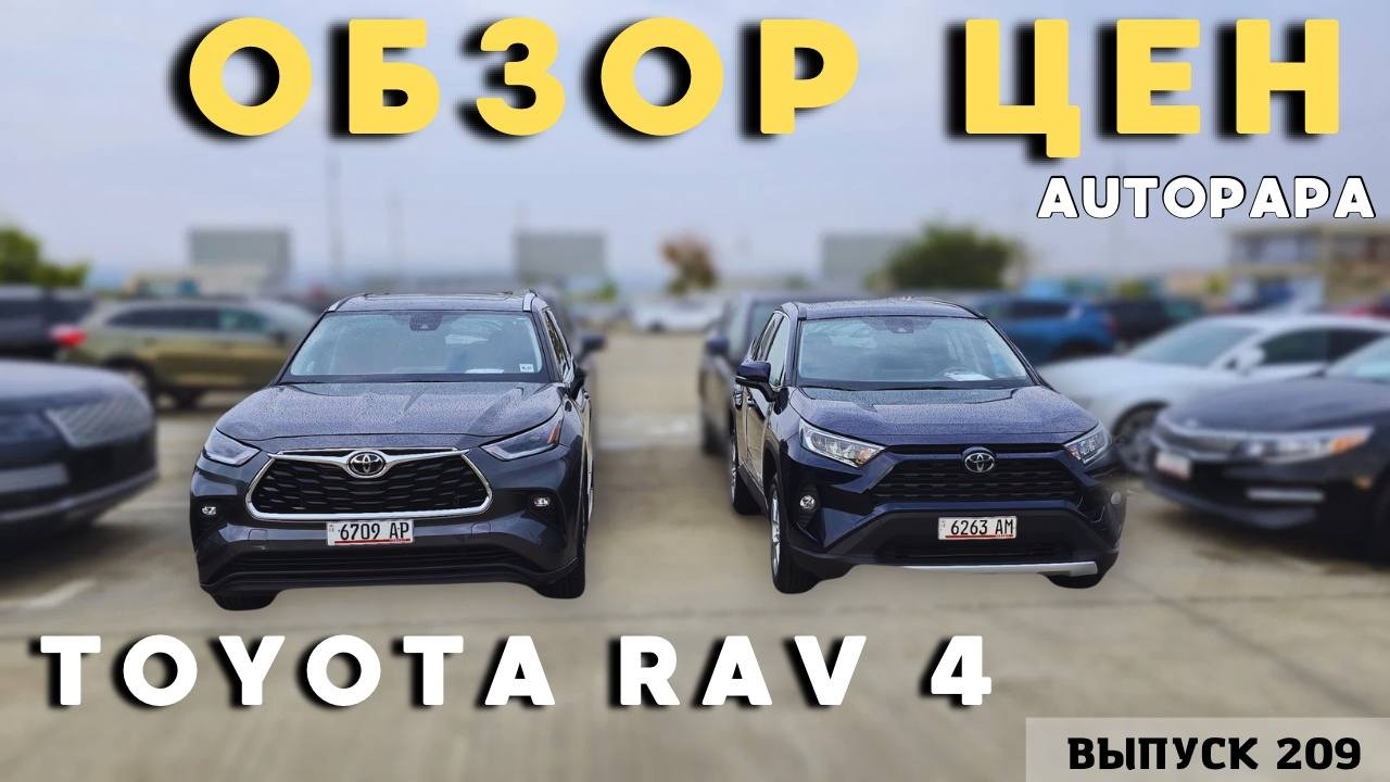 Ищем RAV-4 в Грузии! Обзор актуальных цен Автопапа.Мастер Вадя.