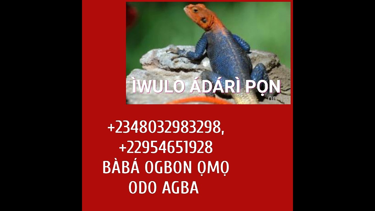 ÌWULO ALANGBA PART ONE,+2348032983298, +2348089038658, +22954651928, +2250584811131