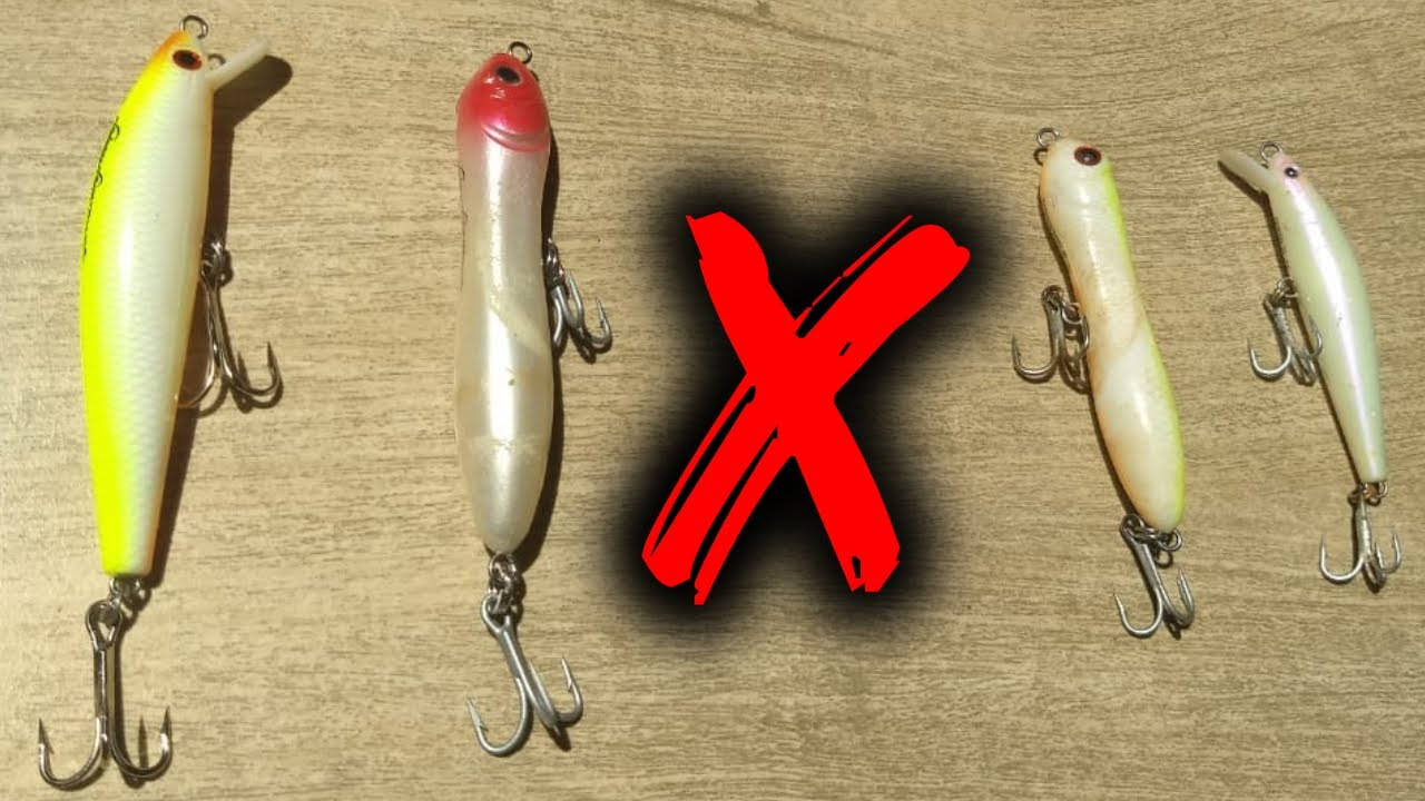 ISCA GRANDE X ISCA PEQUENA, qual levou a melhor?